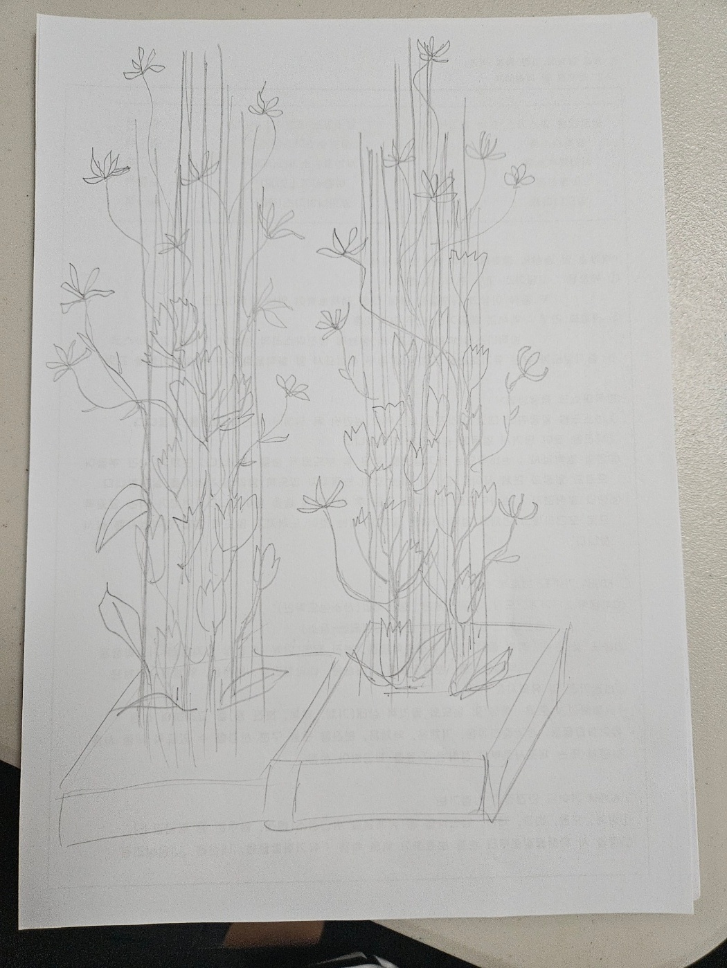 KakaoTalk_20250501_155602618.jpg