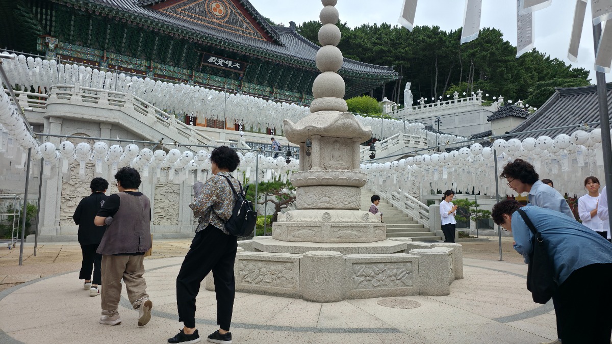 20260827_093800.jpg