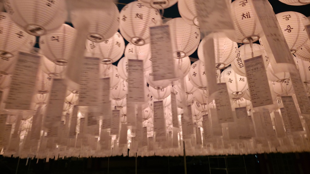 20260827_194610.jpg
